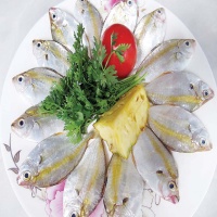 Cá chỉ vàng tươi rói, thịt ngon ngọt